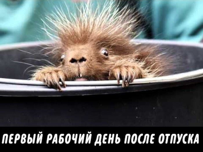 ПЕРВЫЙ РАБМИЙ ДЕНЬ ПОСЛЕ ОТПУСКА