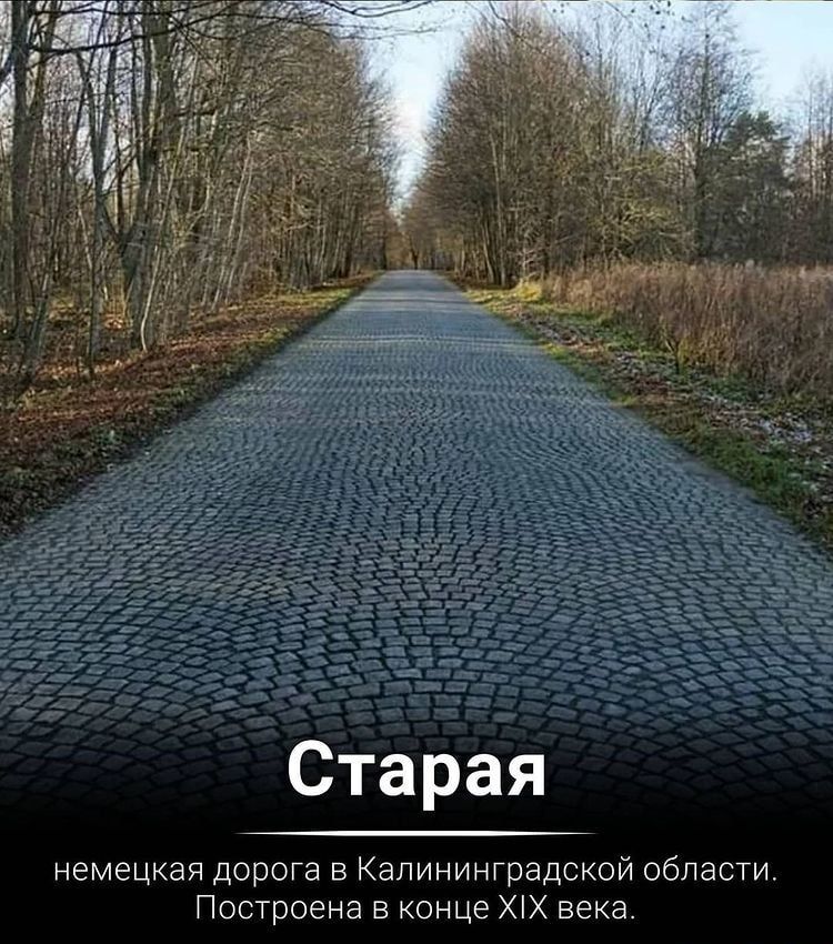 Старая немецкая дорога в Калининградской области Построена в конце Х века