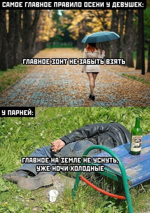 БПМПЕ ГЛПВНПЕ ПРПБИПП ППЕНИ дЕВНШЕК ЁЁ _ іг