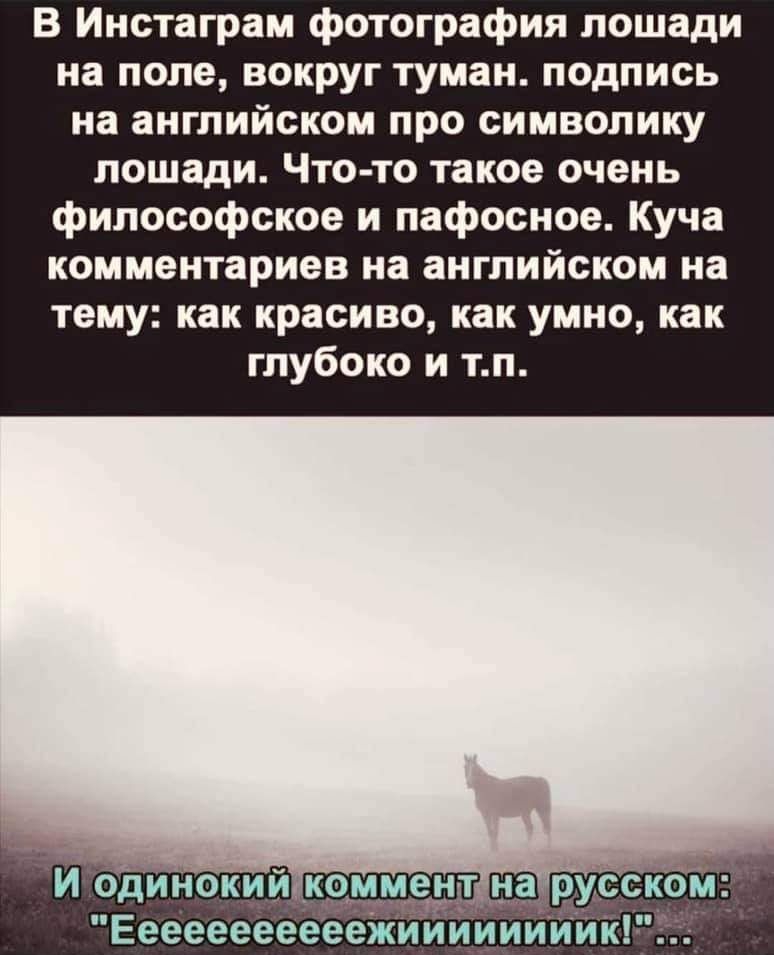 В Инстаграм фотография лошади на поле вокруг туман подпись на английском про символику лошади Что то такое очень философское и пафосное Куча комментариев на английском на тему как красиво как умно как глубоко и тп Ееееееееееежиииииииик
