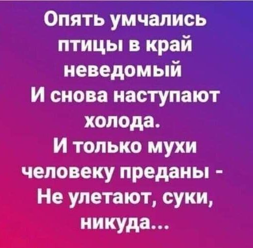 Опять умчались птицы в край неведомый И снова наступают холода И только мухи человеку преданы Не улетают суки никуда