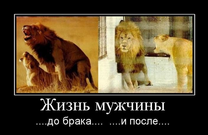 1 А ЖИЗНЬ мужчины до брака и после
