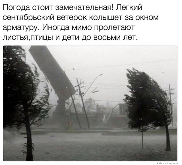 Погода стоит замечательная Легкий сентябрьский ветерок колышет за окном арматуру Иногда мимо пролетают листьяптицы и дети до восьми лет