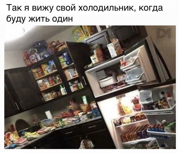 Так я вижу свой холодильник когда буду жить один