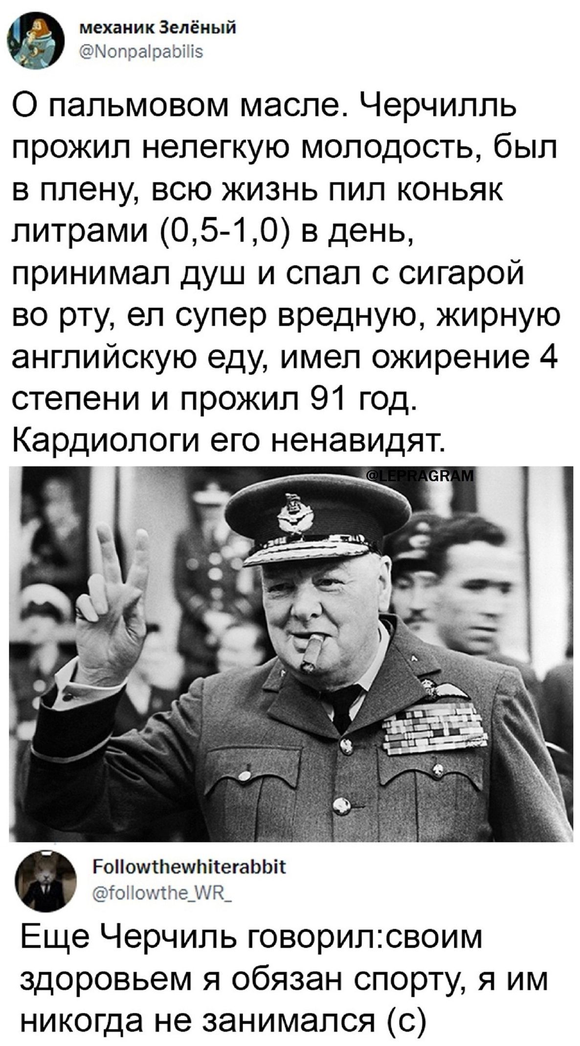 механик Зелёный Мопраіраріііз О папьмовом масле Черчилль прожил нелегкую молодость был в плену всю жизнь пил коньяк литрами 05 1 О в день принимал душ и спал с сигарой во рту ел супер вредную жирную английскую еду имел ожирение 4 степени и прожил 91 год Кардиологи его ненавидят РоііошсітешпігегаЬЬіг го ощтле_Н_ Еще Черчиль говорилсвоим здоровьем я обязан спорту я им никогда не занимался с