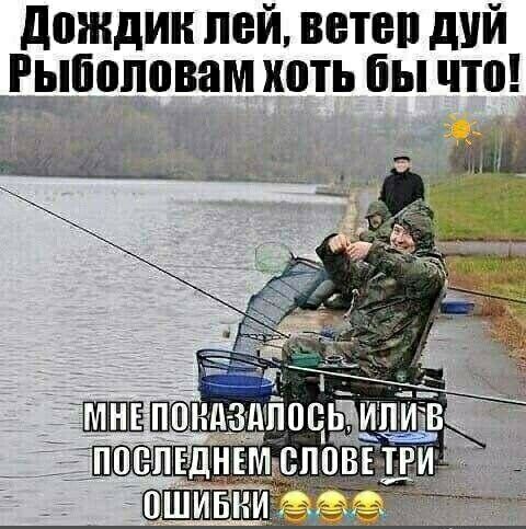 дождик пей ветви дий Рыпоповам хоть бы что