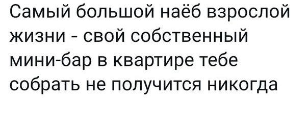 Самый большой наёб взрослой жизни свой собственный мини бар в квартире тебе собрать не получится никогда