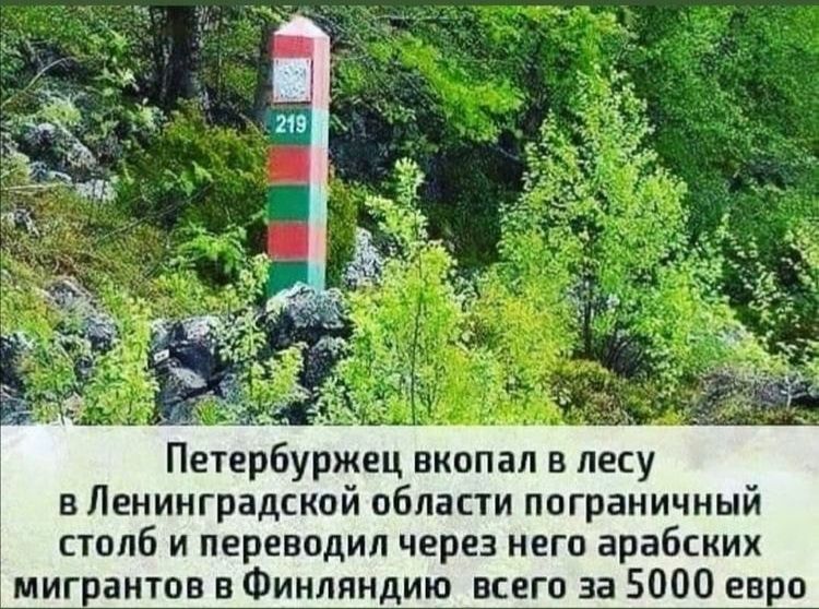 я _ _ Петербуржец вкопал в лесу в Ленинградской области пограничный столб и переводил через него арабских мигрантов в Финляндию всего за 5000 евро