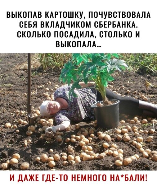 ВЫКОПАВ КАРТОШКУ ПОЧУВВТВОВАЛА СЕБЯ ВКЛАДЧИКОМ ОБЕРБАНКА СКОЛЬКО ПОСАДИЛА СТОЛЬКО И ВЫКОПАЛА я _ И ДАЖЕ ГДЕ ТО НЕМНОГО НАБАЛИ