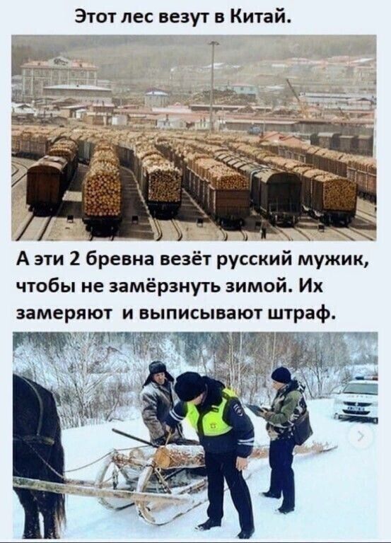 Этот лес везут в Китай А эти 2 бревна везёт русский мужик чтобы не замёрзнуть зимой Их замеряют и выписывают штраф 553