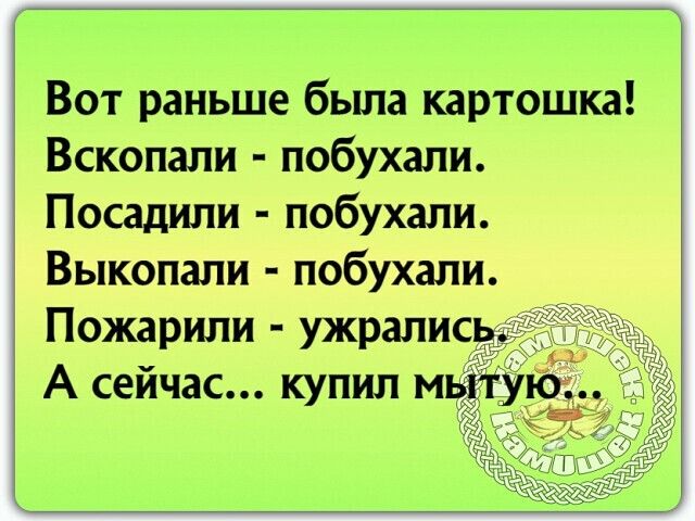 Вот раньше была картошка Вскопапи побухали Посадили побухали Выкопали побухали Пожарипи ужралисы А сейчас купил мы у