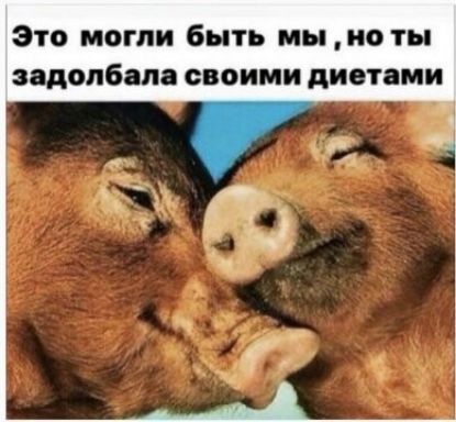 Это могли быть мы но ты задолбала своими диетами