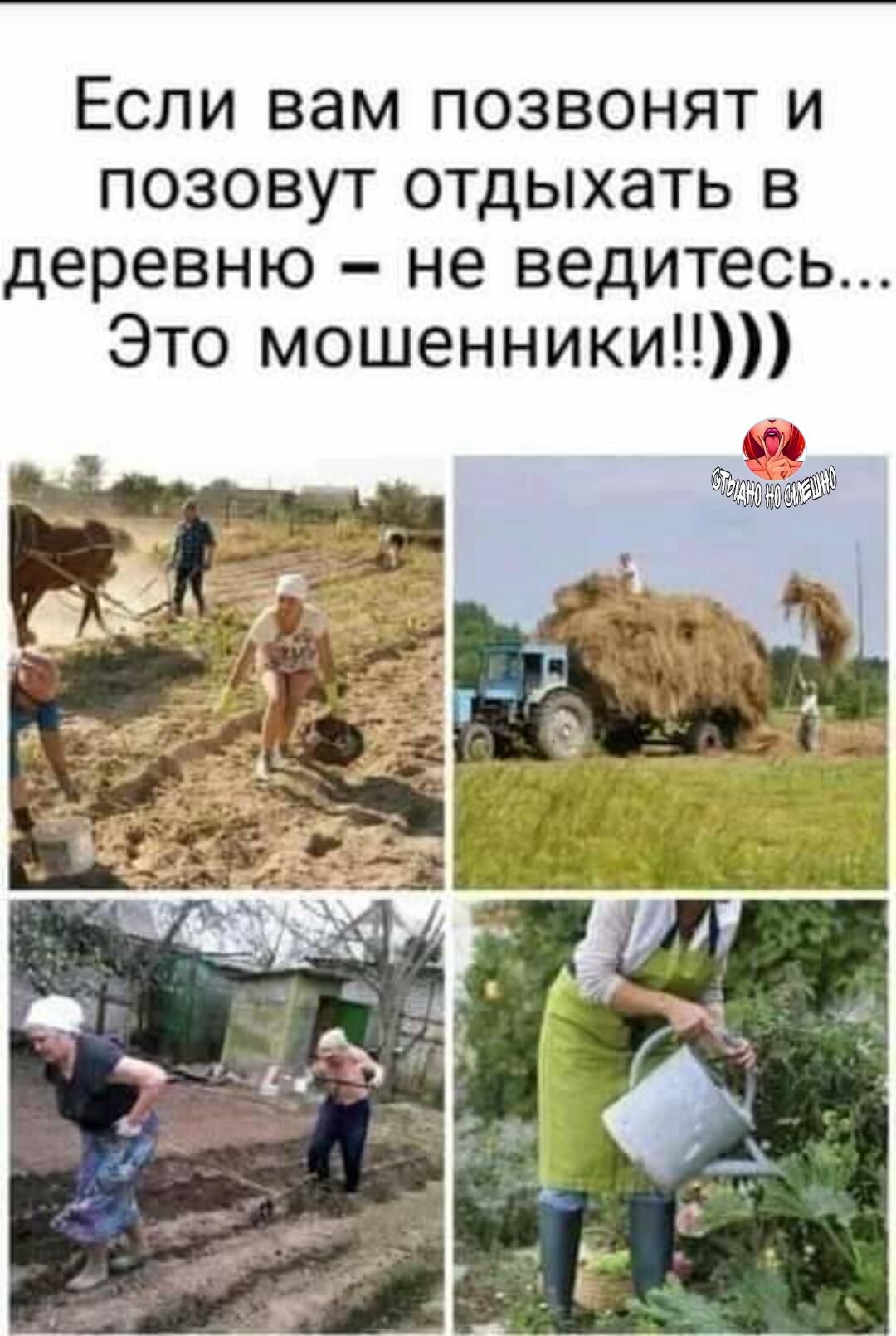 Если вам позвонят и позовут отдыхать в деревню не ведитесь Это мошенники