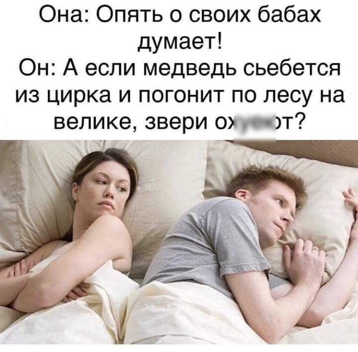 Она Опять о своих бабах думает Он А если медведь сьебется из цирка и погонит по лесу на велике звери ср т н