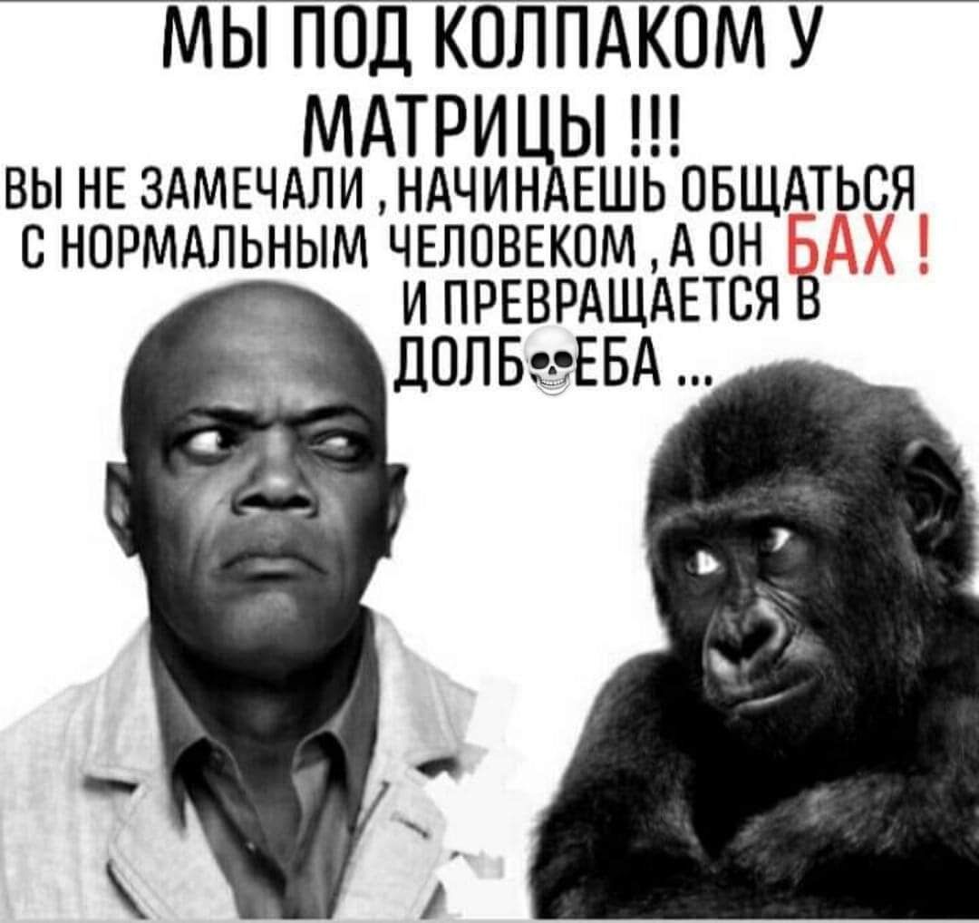 МЫ ПОД КОЛПАКОМ У МАТРИ Ы вы НЕ ЗАМЕЧАЛИ ндчин ЕШЬ ОБЩАТЬСЯ С НОРМАЛЬНЫМ ЧЕЛОВЕКОМ А ОН И ПРЕВРАЩАЕТСЯ В