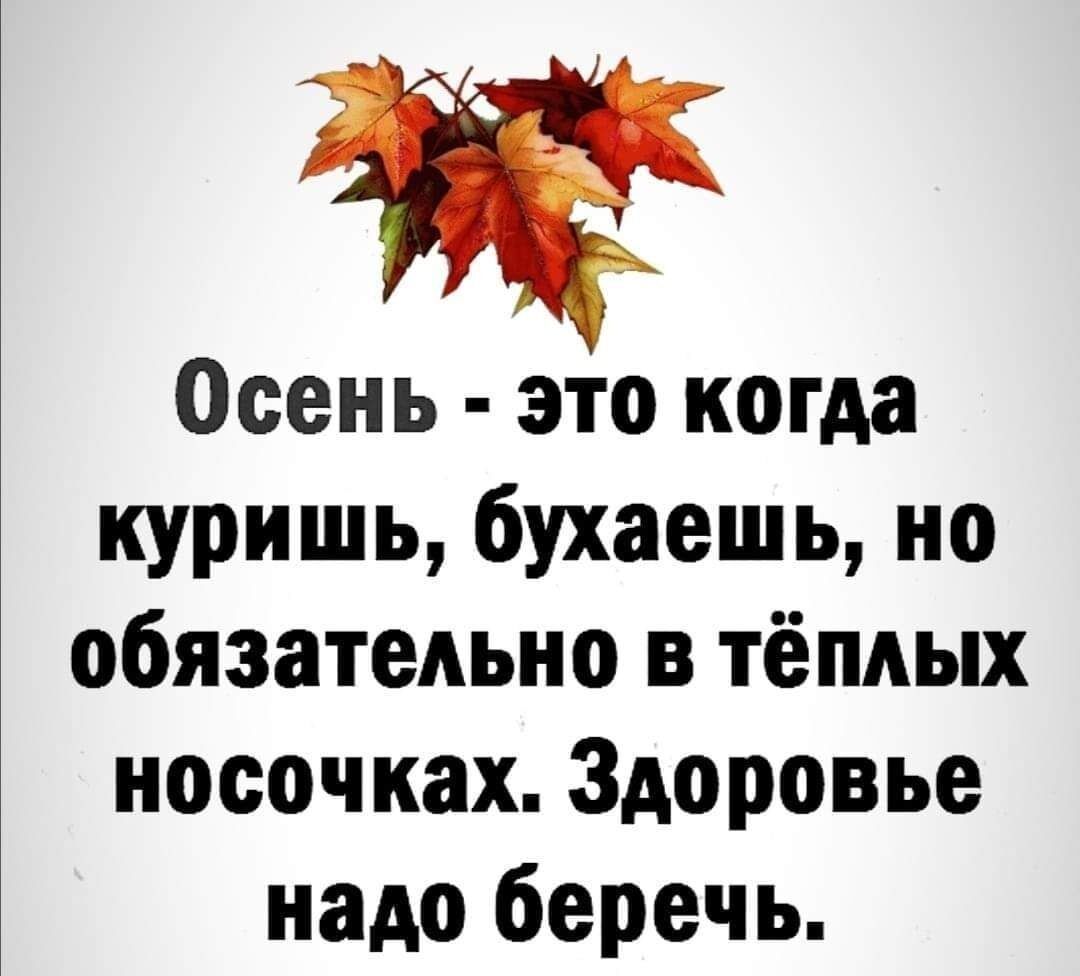 Осень это когда куришь бухаешь но обязательно в тёплых носочках Здоровье надо беречь