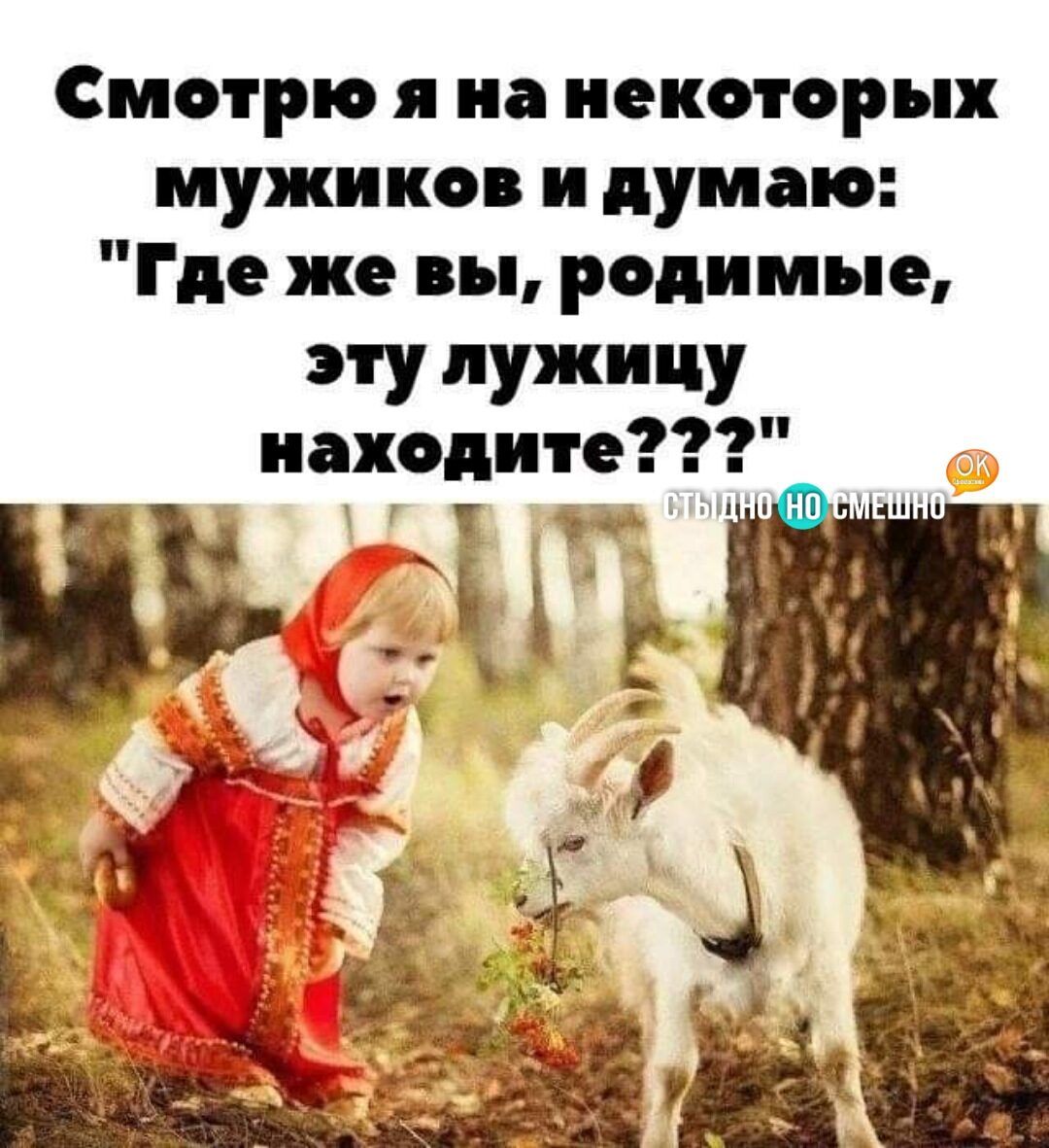 Смотрю я на некоторых мужиков и думаю Где же вы родимые эту пужицу находите