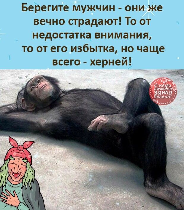 Берегите мужчин они же вечно страдают То от недостатка внимания то от его избытка но чаще всего херней