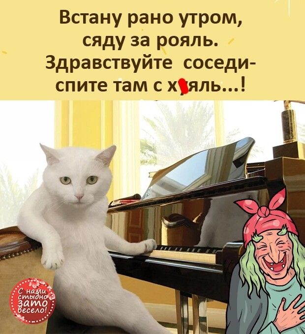 Встану рано утром сяду за рояль Здравствуйте соседи спите там с хяль