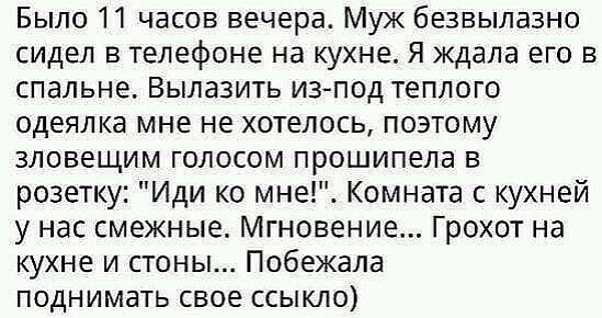 Было 11 часов вечера Муж безвылазно сидел в телефоне на кухне Я ждала его в спальне Вылазить изпод теплого одеял ка мне не хотелось поэтому зловещим голосом прошипела в розетку Иди ко мне Комната с кухней у нас смежные Мгновение Грохот на кухне и стоны Побежала поднимать свое ссыкло