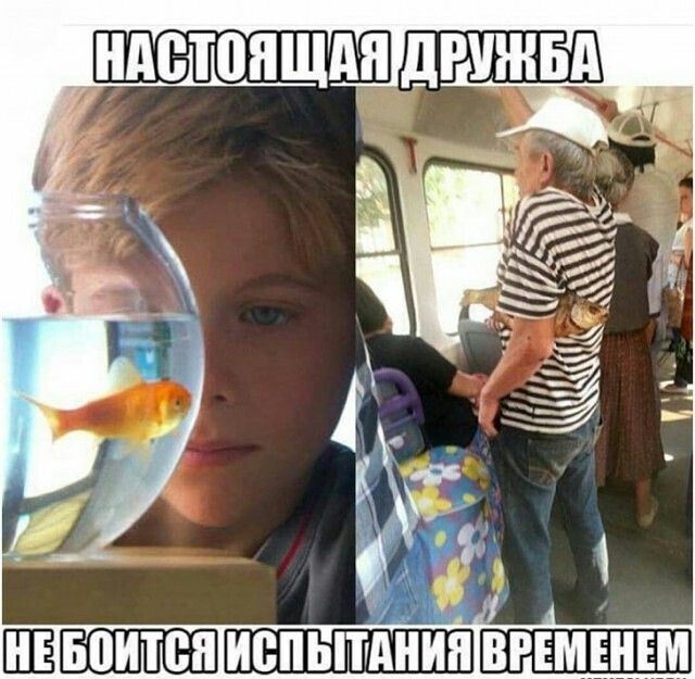 _