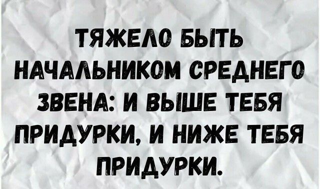 ТЯЖЕАО БЫТЬ НАЧАЛЬНИКОМ СРЕДНЕГО ЗВЕНА И ВЫШЕ ТЕБЯ ПРИДУРКИ И НИЖЕ ТЕБЯ ПРИАУРКИ