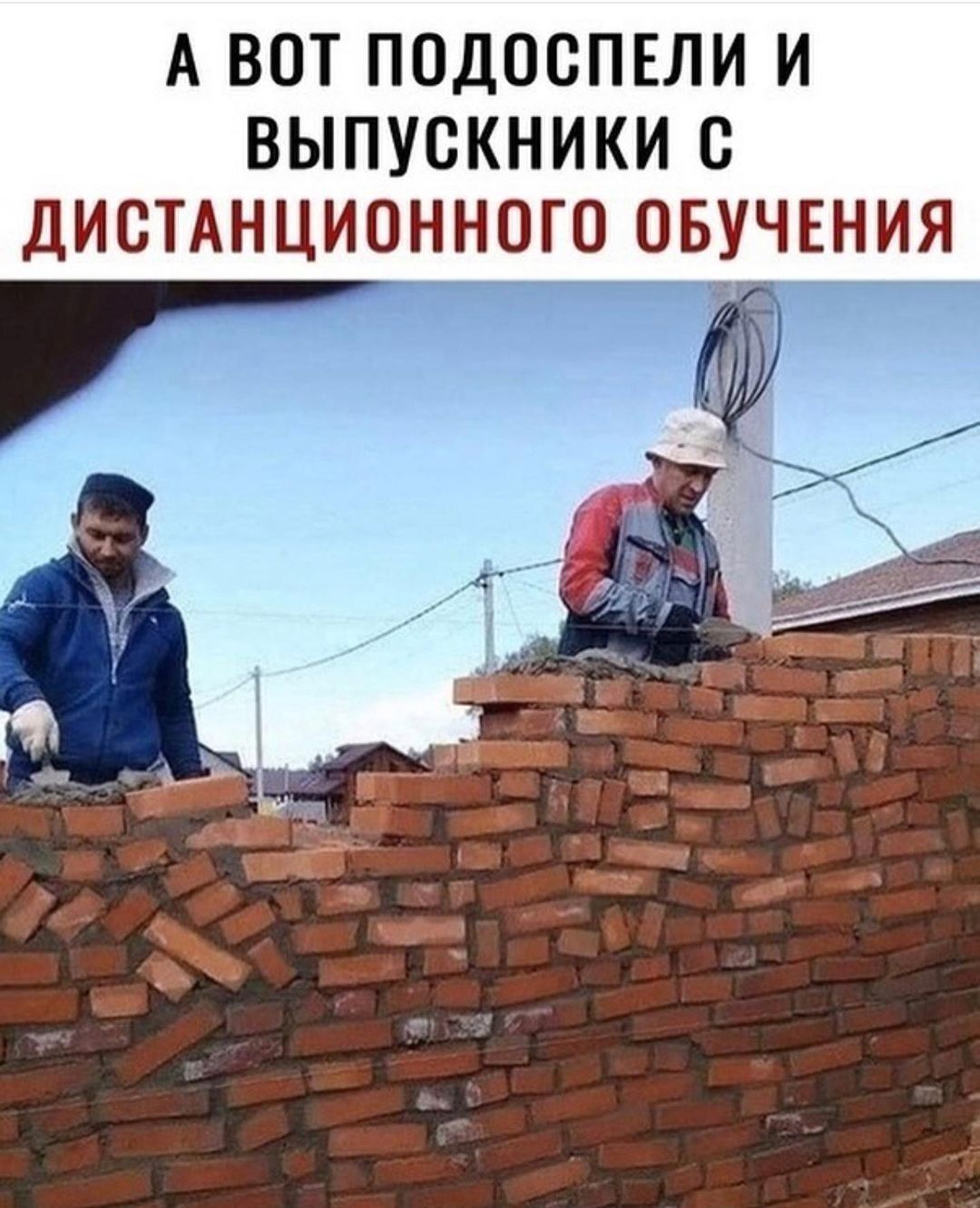 А ВОТ ПОДООПЕЛИ И ВЫПУСКНИКИ О ДИСТАНЦИОННОГО ОБУЧЕНИЯ И57
