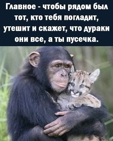 Главное чтобы рядом был тот кто тебя пощадит утешит и скажет что дураки они все а ты пусечка