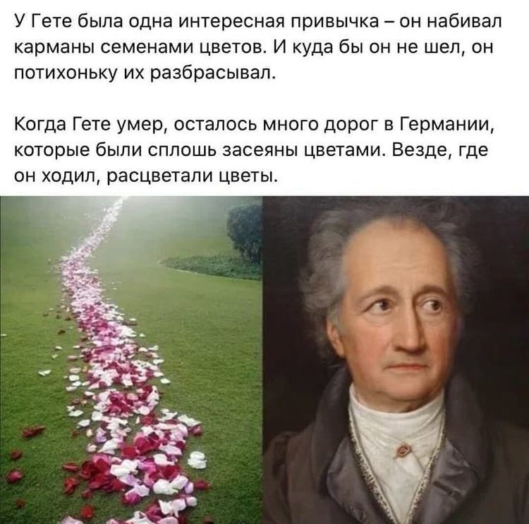 У Гете была одна интересная привычка он набивал карманы семенами цветов И куда бы он не шел он потихоньку их разбрасывап Когда Гете умер осталось много дорог в Германии которые были сплошь засеяны цветами Везде где он ходил расцветали цветы