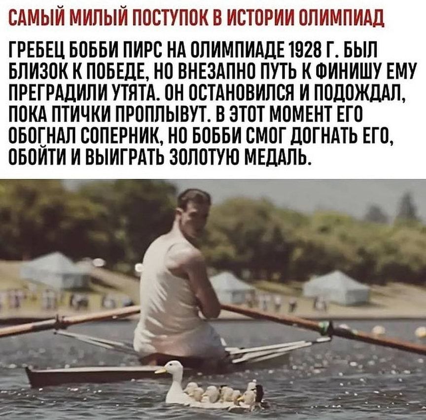 САМЫЙ МИЛЫИ ПОСТУПОК В ИСТОРИИ ОПИМПИАД ГРЕБЕЦ БОББИ ПИРС НА ОПИМПИАДЕ 1928 Г БЫЛ БЛИЗОК К ПОБЕДЕ НО ВНЕЗАПНО ПУТЬ К ФИНИШУ ЕМУ ПРЕГРАДИПИ УТЯТА ОН ОСТАНОВИЛСЯ И ПОДОЖДАД ПОКА ПТИЧКИ ПРОППЫВУТ В ЭТОТ МОМЕНТ ЕГО ОБОГНАП СОПЕРНИК НО БОББИ СМОГ ДОГНАТЬ ЕГО ОБОИТИ И ВЫИГРАТЬ ЗОЛОТУЮ МЕДАЛЬ