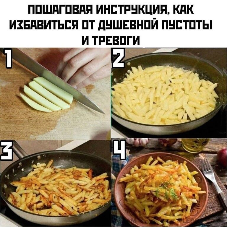 ппшдгпвдя инстинкция кпк извиниться пт дншввнпй пнптпты и тпввги _