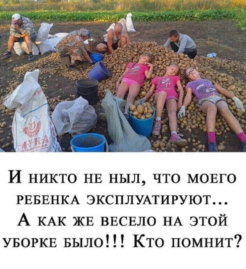И никто НЕ ныл что МОЕГО РЕБЕНКА ЭКСПЛУАТИРУЮТ А КАК ЖЕ ВЕСЕЛО НА этой УБОРКЕ Было Кто помнит