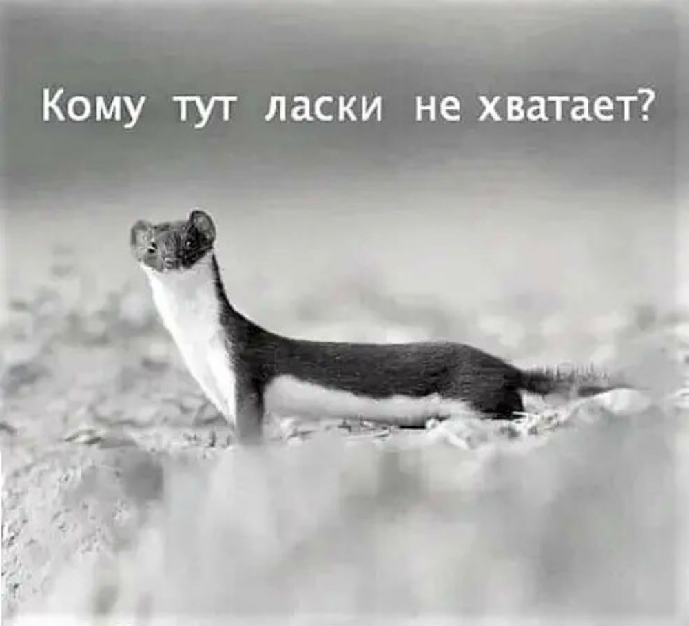 Кому ТУТ ласки не хватает