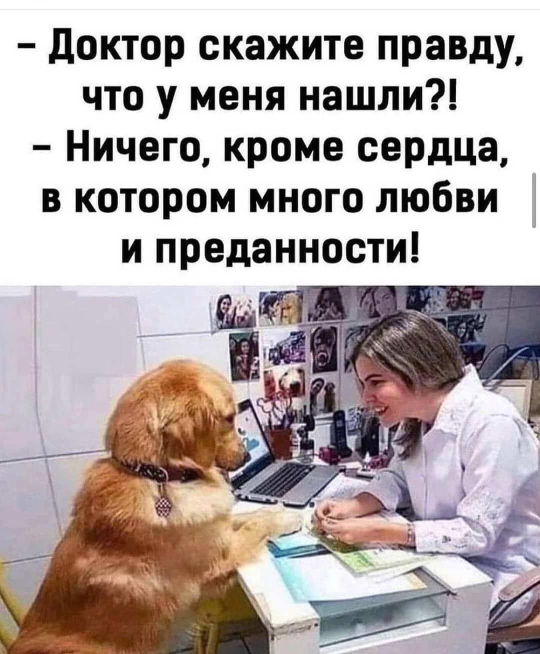 Доктор скажите правду что у меня нашли Ничего кроме сердца в котором много любви и преданности