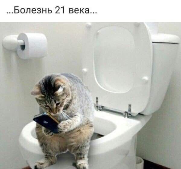 Бопезнь 21 века