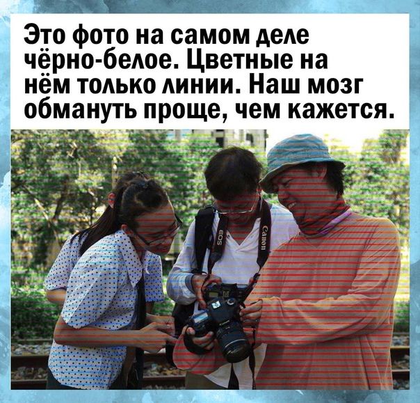 Это фото на самом деде чёрно бете Цветные на _ нем только линии Наш мозг обмануть проще чем кажется _ _ _