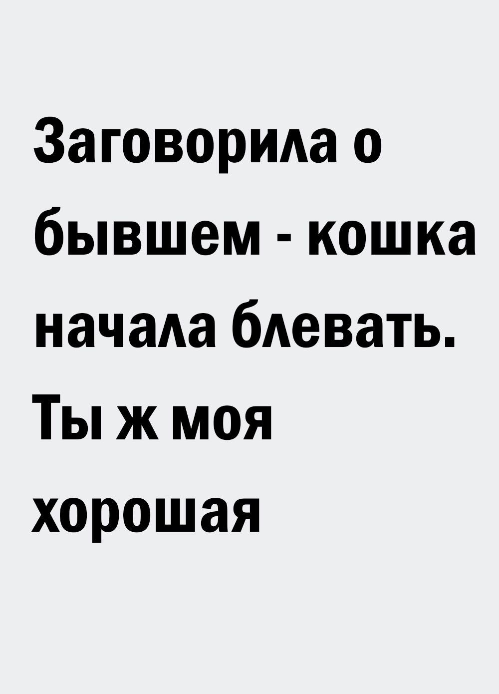 Заговорида о бывшем кошка начада бдевать Ты ж моя хорошая