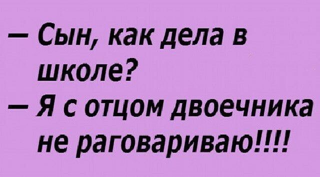 Сын как дела в школе Я с отцом двоечника не раговариваю