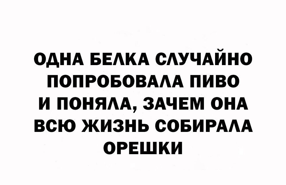 ОДНА БЕАКА САУЧАЙНО ПОПРОБОВААА ПИВО И ПОНЯАА ЗАЧЕМ ОНА ВСЮ ЖИЗНЬ СОБИРААА ОРЕШКИ