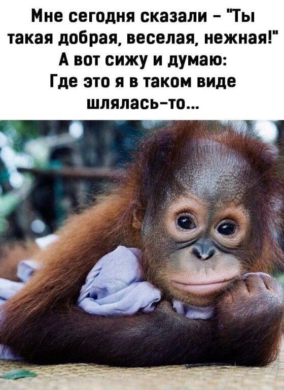 Мне сегодня сказали Ты такая добрая веселая нежная А вот сижу и думаю Где это я в таком виде шлялась то
