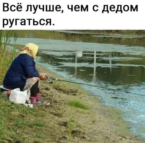 Всё лучше чем с дедом ругаться