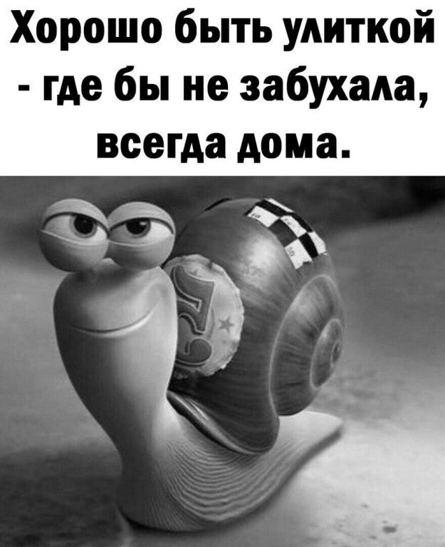 Хорошо быть улиткой где бы не забухада всегда дома
