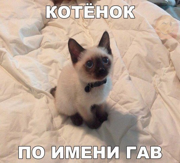 Шк
