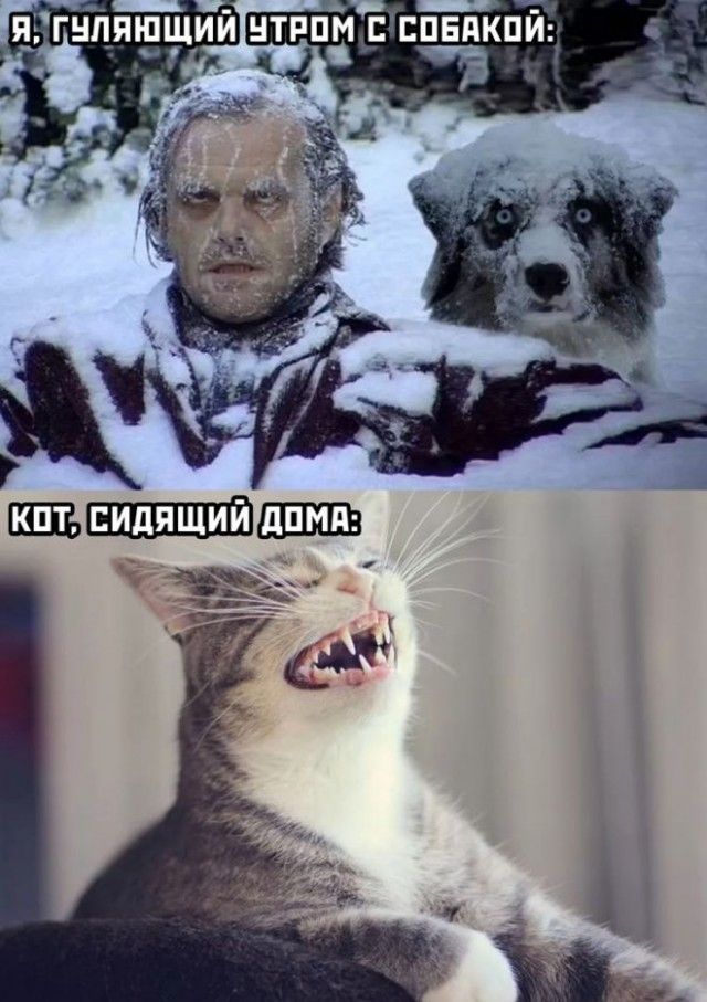 П.'г!лп!!,ций !трпё с собакой: