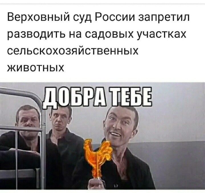 Верховный суд России запретил разводить на садовых участках сельскохозяйственных ЖИВОТНЫХ