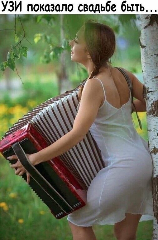 УЗИ показало свадьб быть