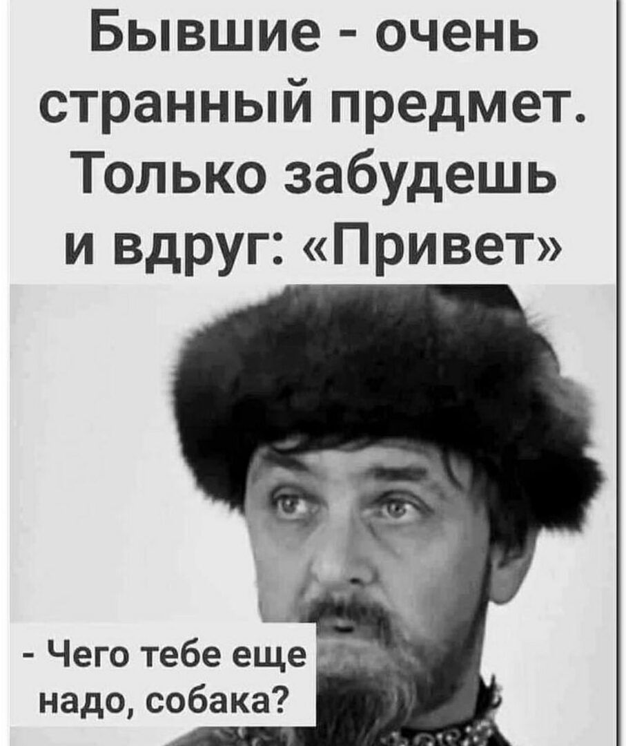 Бывшие очень странный предмет Только забудешь и вдруг ПривеТ Чего тебе еще д надо собака