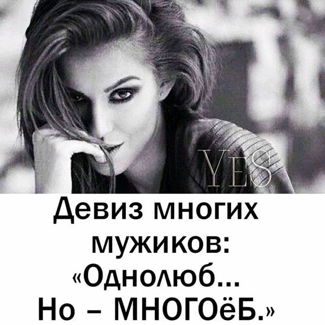 девиз многих мужиков ОДНОЮб Но МНОГОёБ