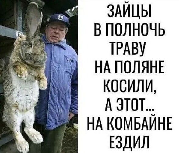 здйцы в полночь ТРАВУ НА ПОЛЯНЕ косили А этот НА комвдишг ЕЗДИЛ