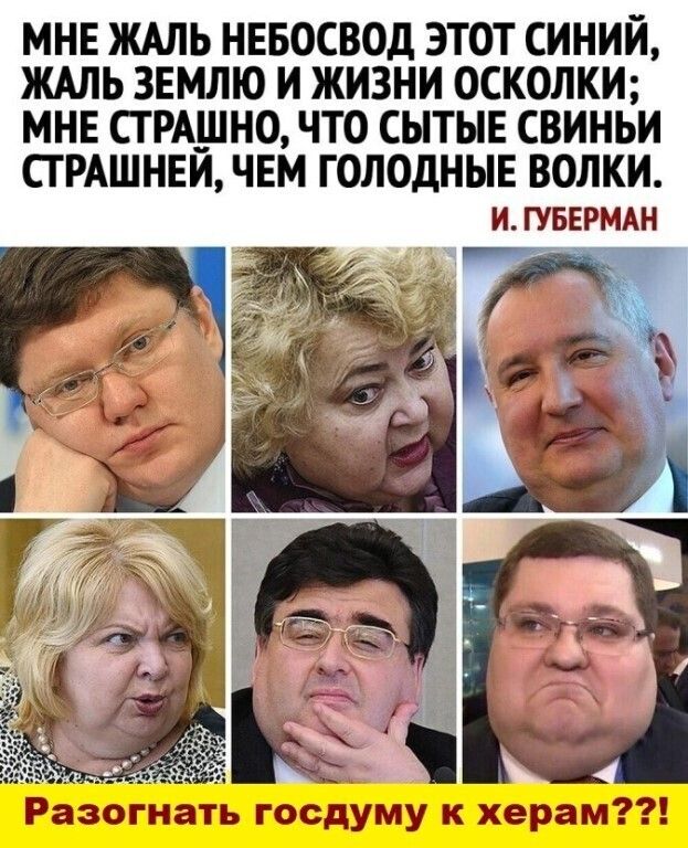 МНЕ ЖАЛЬ НЕБОСВОД ЭТОТ СИНИИ ЖАЛЬ ЗЕМЛЮ И ЖИЗНИ ОСКОЛКИ МНЕ СТ РАШНО ЧТО СЫТЫЕ СВИНЬИ СТРАШНЕЙ ЧЕМ ГОЛОДНЫЕ водки и ГУБЕРМАН Разогнать госдуму к херам